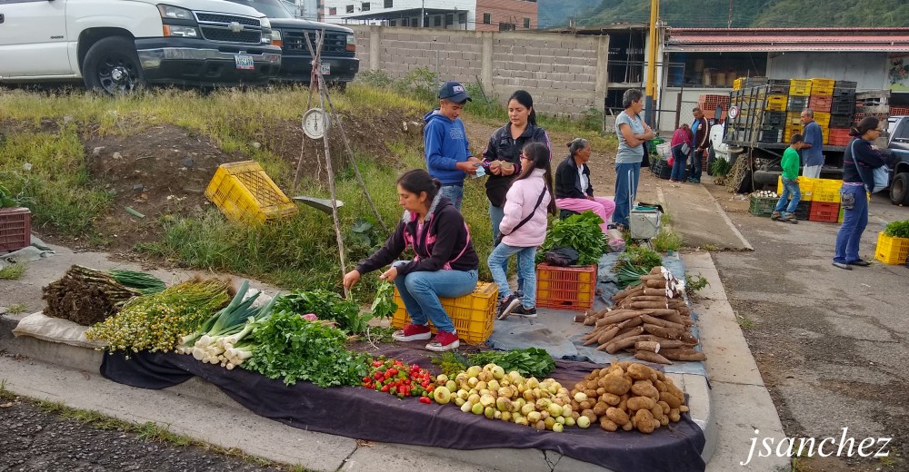 IMG_20191207_073936138_HDR